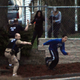 Illustration for article titled Scenes From The Final Hours Of The Watertown Manhunt